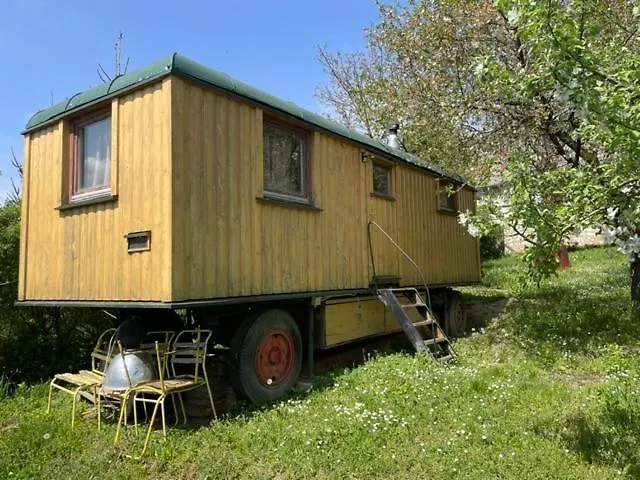 Cirkusz Udvar カポルチ